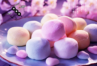 時雨堂のサイト